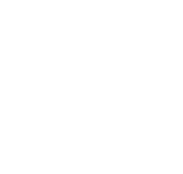 wordpress_new